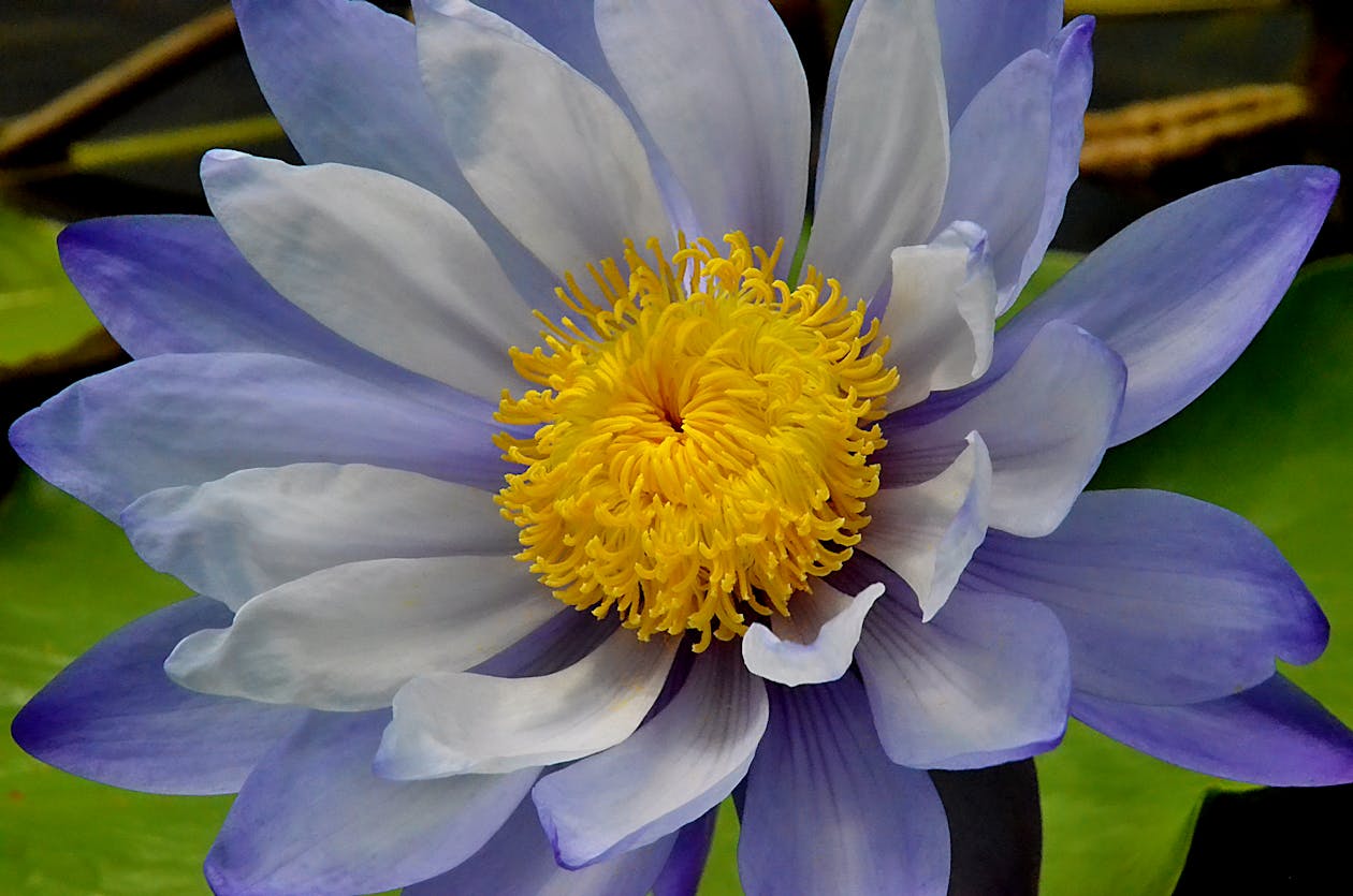 Anduril Pentagon counter-drone contract