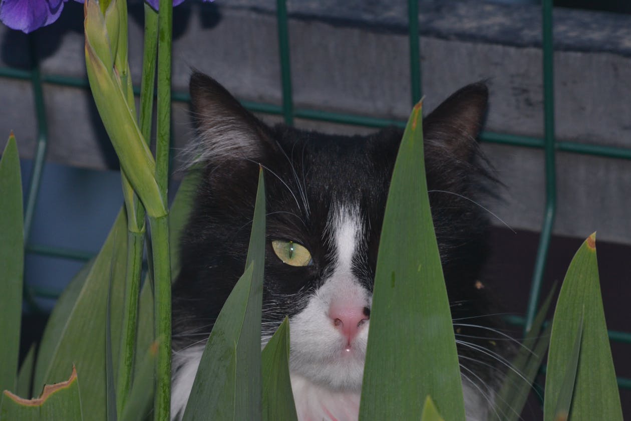 AI data center servers